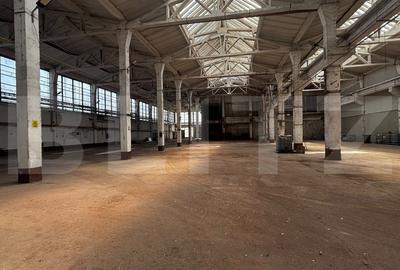 Spațiu industrial, de 5,000.00 mp, în Calea Severinului