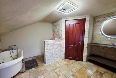Vila, Cerneteaz, Teren Generos, Casa de Oaspeti, Beci, Garaj - 20
