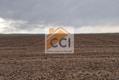 Teren 10,000mp Bacau / Strada Alexandru Safran - 5
