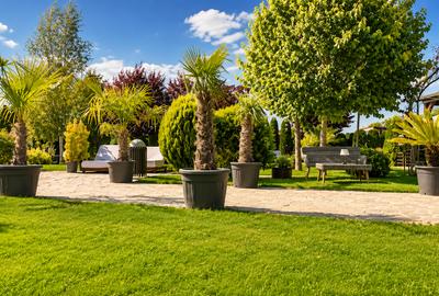 Afacere la cheie Brasov-Cazare, evenimente, wellness si agrement - 6