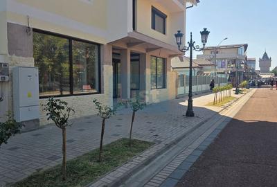 Spațiu vis-a-vis de Școala nr. 2 | 50 mp | Vad pietonal intens - 3