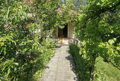 Casă frumoasă - zonă liniștită - 6