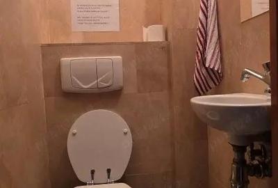 UNIRII-PIATA ALBA IULIA, inchiriere vila 5 camere, singur  curte - 9