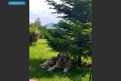 House for sale, 5 Rooms, 180 sqm, Valea Dejani - 1