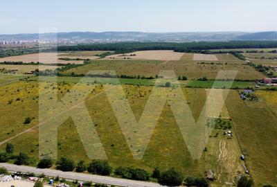 Teren intravilan 5100 mp, Cisnadie - ideal pentru investitie - 12