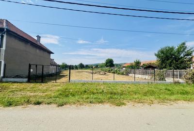 Casa cu 5 camere - teren 4300 mp – loc. Seica Mare - 7