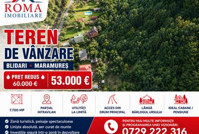 Vânzare teren – Blidari, Maramureș - 1