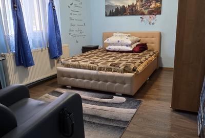 450euro/luna, Valea Lupului Antibiotice, corp casa cu 3 camere - 5