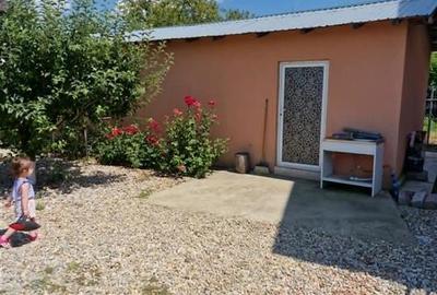 Casa P+M de vanzare Sabareni - 24