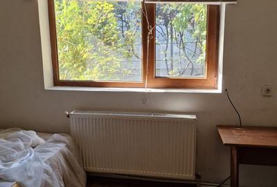 Afumati Casa 4 camere parter la sosea teren 800 mp ideal afacere - 6