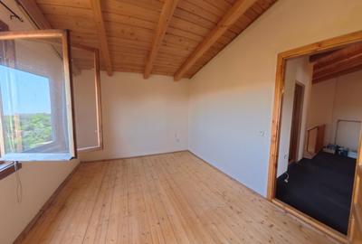 Casă cu 3 dormitoare și teren de 4.836 mp, Viile Satu Mare - 5