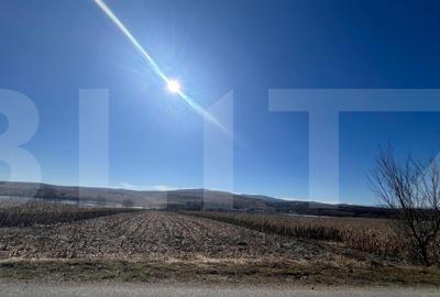 Teren agricol extravilan de 2016 mp, în Pădureni (Ciurila)