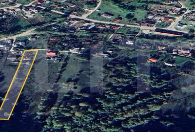 Teren Construcții intravilan de 2944 mp, în Vâlcănești