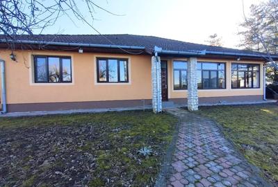 Proprietate rară, acces direct la drumul judetean, Pecica - 1
