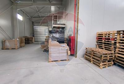 Hale Chitila  320-600 mp  Acces Direct Centura București - 7