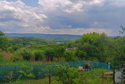 OCAZIE! Ciurbesti TEREN 700mp cu AUT. de CONSTRUCTIE casa parter si utilitati - 1
