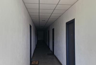 Lipovei-aproape de Dedeman - 2