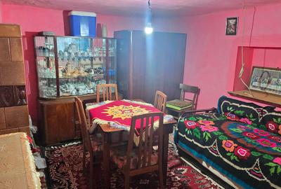 Vand casa in Deva, zona Viile Noi, suprafata  de teren de 766 mp, - 6
