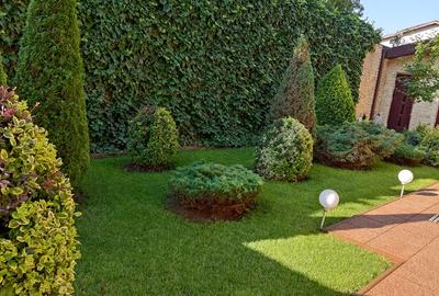 Vila Parc Bazilescu-Oportunitate investitie - 11