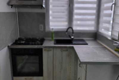 Apartament cu 2 camere decomandat, mobilat în Viilor