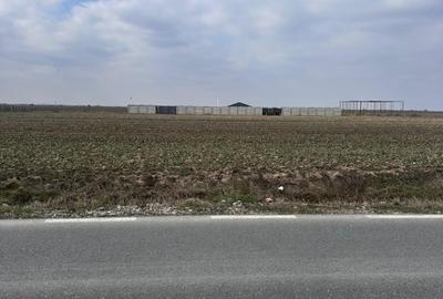 Teren Construcții intravilan de 1500 mp, în Pielești
