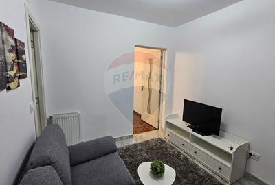 Apartament cu 1 camere de închiriat în zona Darmanesti - 13
