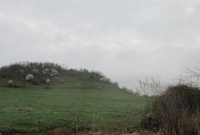 Teren extravilan de 5900 mp, în Hălchiu
