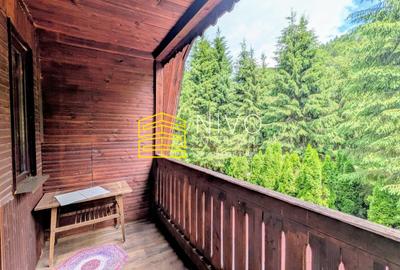 Cabană – Mureș – Sălard – Zona Pensiunea Denisa - 9
