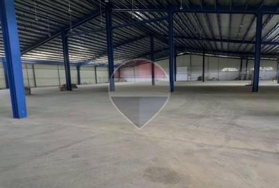 Hala industriala noua de inchiriat 9700 MP 600 KVA pret tva inclus - 9