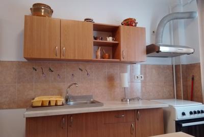 Apartament cu 2 camere decomandat în Turnișor
