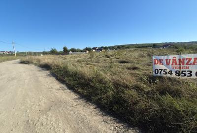 Cercu , Strada Hotarului , 3 km de cartier Visoianu , 16.500 euro - 12