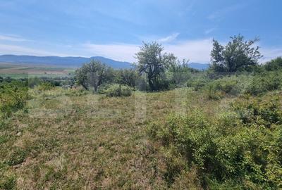 Teren Construcții extravilan de 3460 mp, în Vulcan