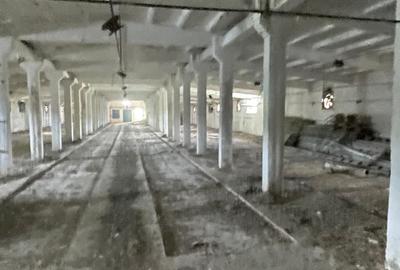 Complex industrial/Ferma de vânzare | Orțișoara, jud. Timiș - 28