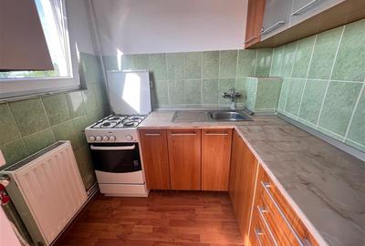Apartament cu 1 camera de vanzare Mureseni - 6