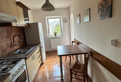 Inchiriez apartament 2 camere Paraului view superb - 6