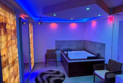 Vila cu 4 apartamente si o mansarda Tineretului - 28
