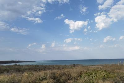 Teren intravilan 12.600 mp în apropiere de Beach Please și Nibiru - 7