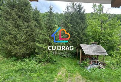 Investiție cu suflet: Pensiune de vânzare pe Valea Avrigului - 10