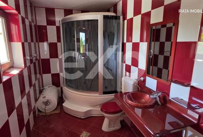Casă individuală de vânzare, 6 camere, subsol 110 mp, teren 5.753 mp – Cândești - 8