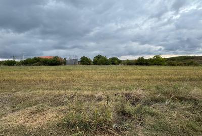 Vand teren Intravilan 1400 MP in Parcul National Comana - Vlad Tepes - Giurgiu - 10