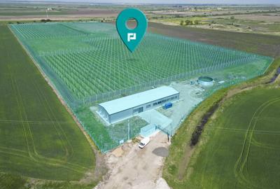 Teren agricol extravilan de 100000 mp, în Exterior Vest