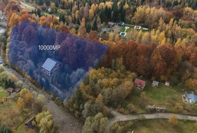 Pensiune la rosu, teren 7000mp, Valea Avrigului - 3