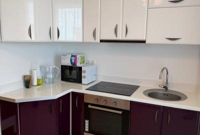 380euro/luna, garsoniera moderna, Copou Exclusive Residence - 10
