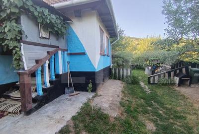 Casă individuală cu 2 camere în Cuzăplac