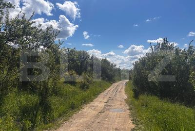 Teren Construcții extravilan de 2500 mp, în Sud-Est