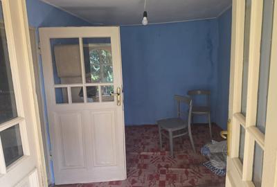 Branesti/Pasarea/Piteasca casa de vanzare deschidere la lac - 12