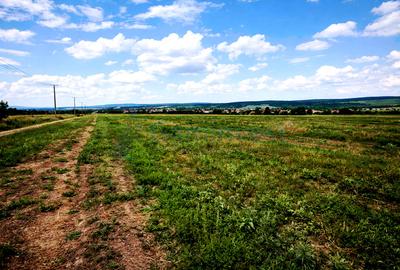 Teren agricol extravilan de 17265 mp, în Leș