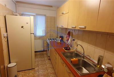 APARTAMENT 3 CAM CENTRALA, BRANCOVEANU HUEDIN - 12