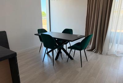 Casa idnividuala, mobilata si utilata, prima inchiriere - 14
