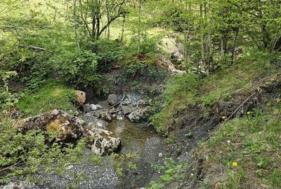 Teren 4048mp Campulung Moldovenesc, Strada Izvorul Alb, Suceava - 24